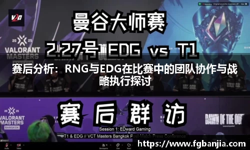 赛后分析：RNG与EDG在比赛中的团队协作与战略执行探讨