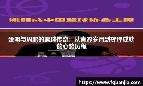 完美体育