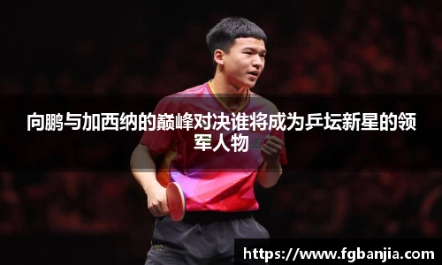 完美体育官网