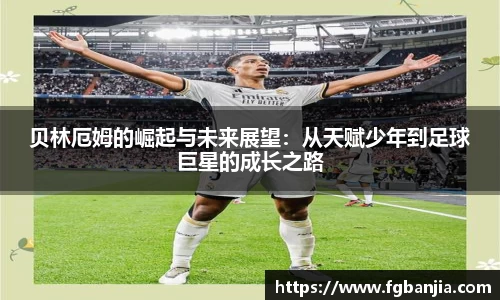 完美体育在线入口官网